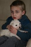 ENFANT ET CHIEN 464